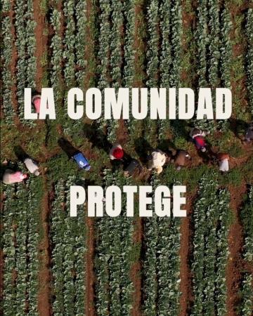 Imagen PLAN ESTRATÉGICO DE GESTIÓN FORESTAL 1 DE 5
