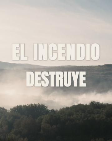 Imagen PLAN ESTRATÉGICO DE GESTIÓN FORESTAL 3 DE 5