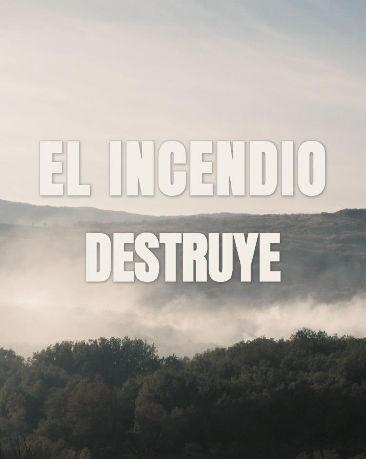 Imagen PLAN ESTRATÉGICO DE GESTIÓN FORESTAL 3