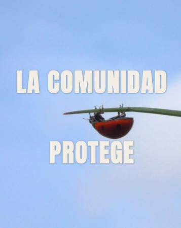 Imagen PLAN ESTRATÉGICO DE GESTIÓN FORESTAL 4 DE 5