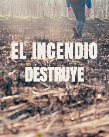 Imagen PLAN ESTRATÉGICO DE GESTIÓN FORESTAL 5 DE 5